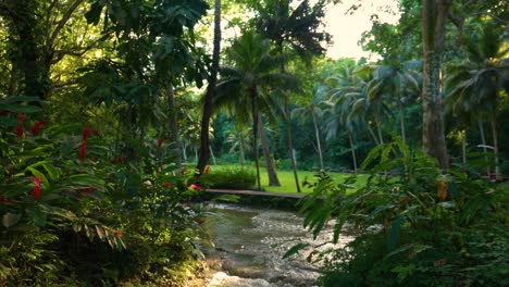 jamaica | ocho rios coast | dunn’s river falls & park | tranquility garden.