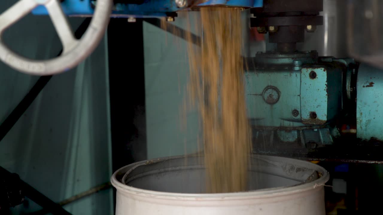 Grains falling out of a milling machine. Whole farming grains being crushed for processing. Brewing beer grains. Brewery grains being milled.