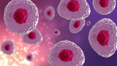 animation of micro of red and pink cells over pink and purple background