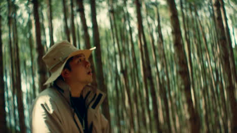 hombre caminando en un bosque