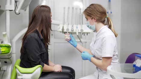 El-Médico-Tiene-En-Las-Manos-Un-Primer-Modelo-Dental.-El-Dentista-Muestra-Una-Maqueta-De-La-Mandíbula-Del-Paciente.-El-Modelo-De-La-Mandíbula.-Los-Huesos-De-La-Mandíbula.-Atributos-Y-Detalles-En-El-Consultorio-De-Un-Dentista.