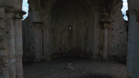 old medieval monastery abbey church abbazia di san bruzio, a damaged abandoned ruin in tuscany from the 11th century middle ages surrounded by olive trees in italy-1