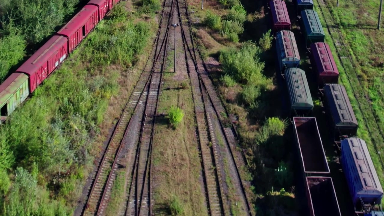 Treni fermi sui binari ferroviari con erba verde e container.