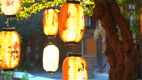 linternas chinas colgando de un árbol balanceándose lentamente al atardecer