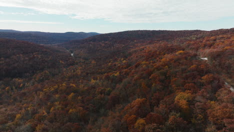 panoramic view of autumn forest in arkansas, usa - drone shot