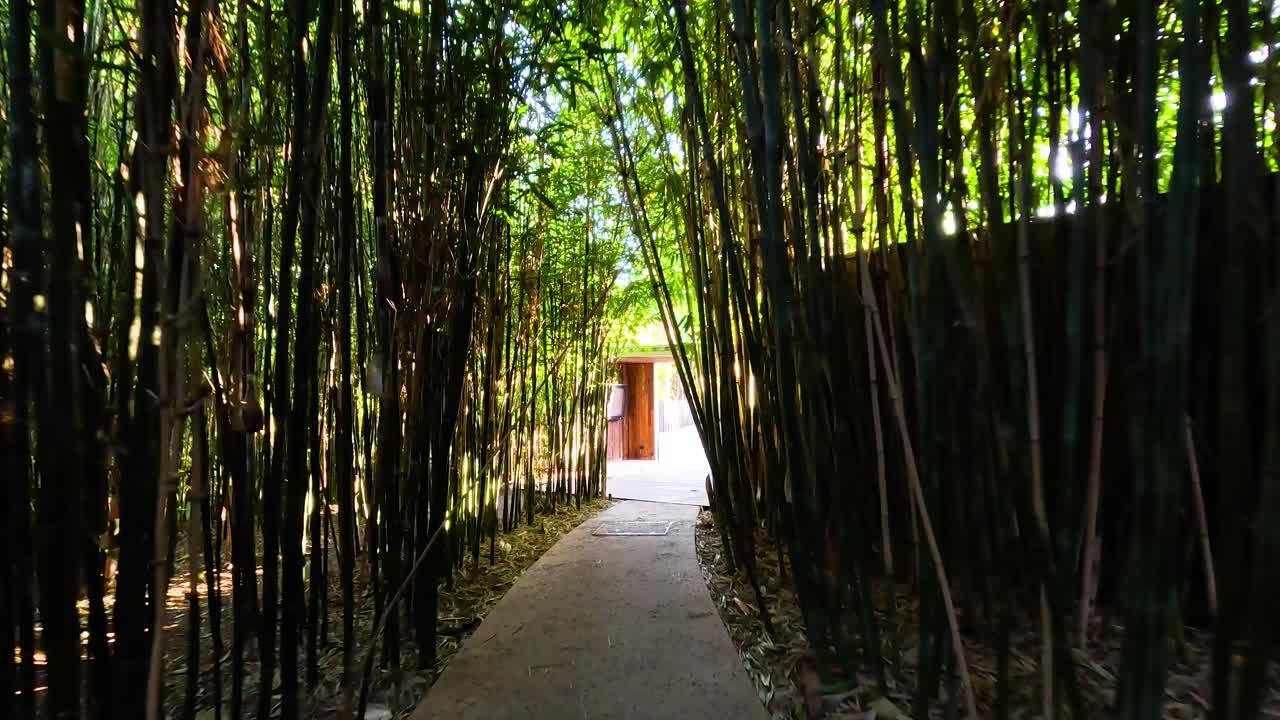 동물원 입구 게이트 로 이어지는 풍경적 인 대나무 로 된 산책로