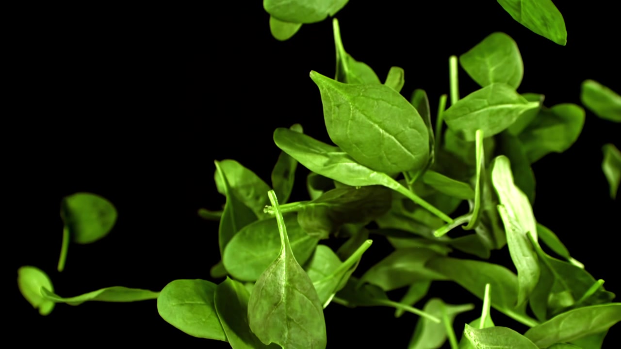 Foglie di spinaci freschi e verdi che cadono e galleggiano al rallentatore