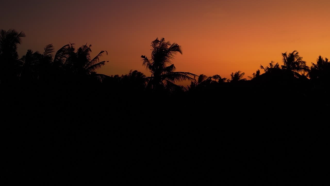 las siluetas de la puesta de sol tropical y la parte superior de la palmera de coco, isla de lombok, indonesia