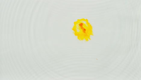 overhead shot of droplet of yellow paint or dye dropped into water against white background to create swirling colourful pattern