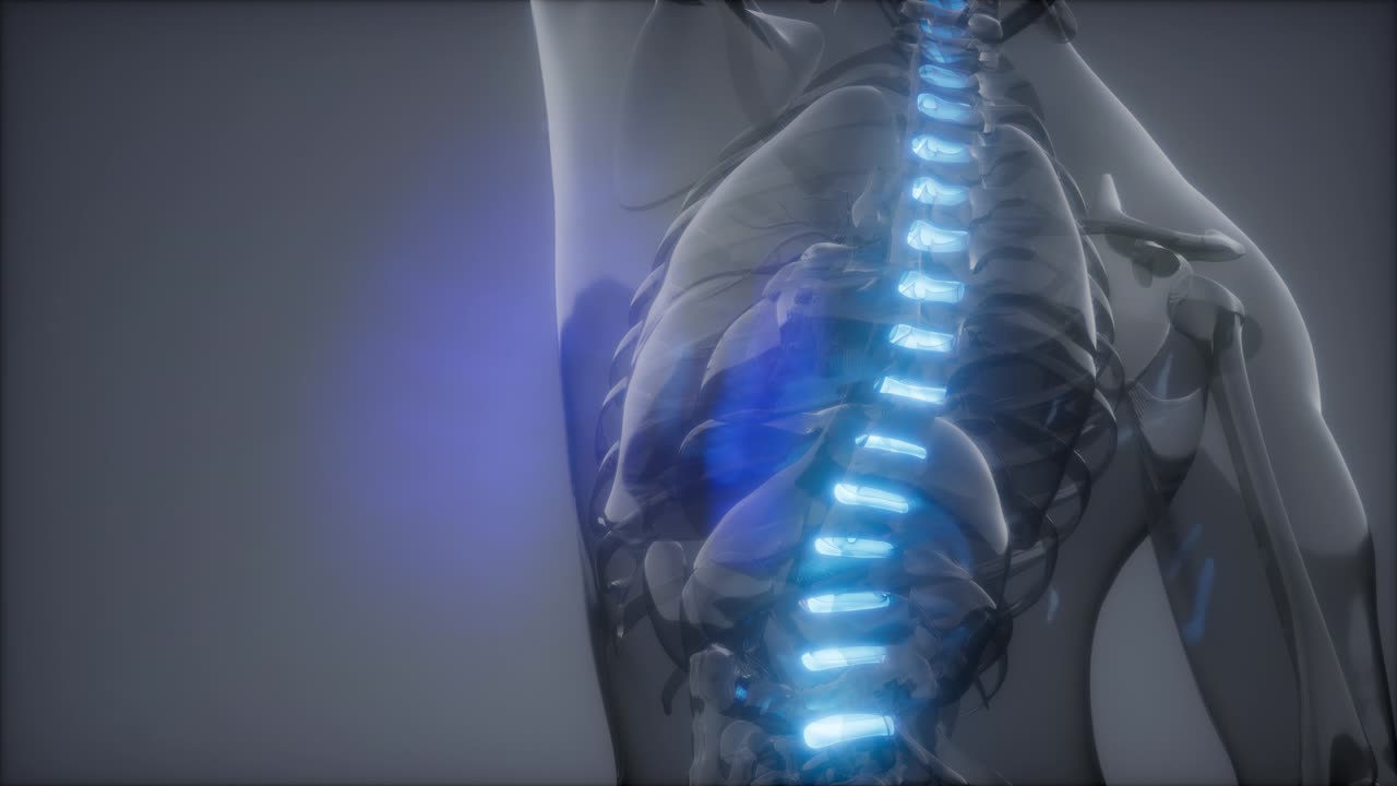 dolor de espalda en los huesos de la espalda