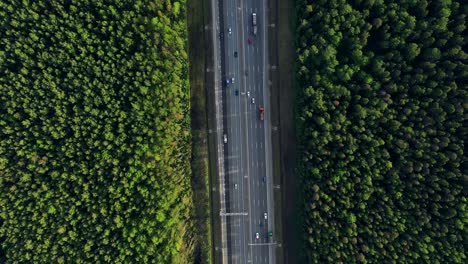 aerial. traffic interchange. top view of the road, city and forest. summer video from the drone.