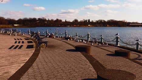 un ángulo bajo tomado por el lago meadow en queens, nueva york en un día soleado