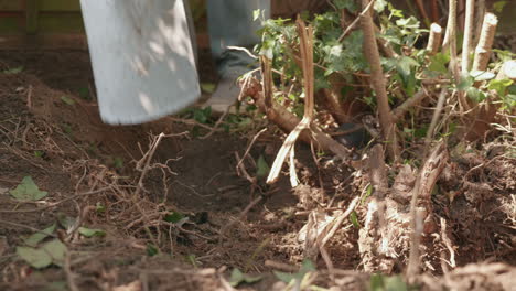 slow motion footage of a spade striking the ground