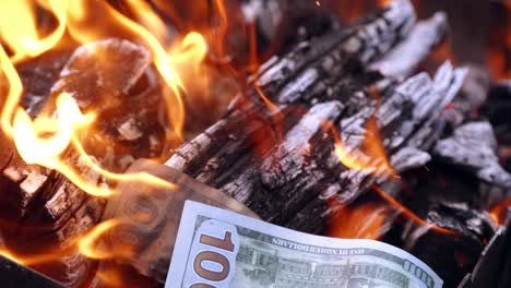 view of money on fire. hundred dollars burn in a fire