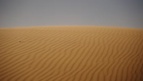 sand dune details in the sahara desert near merzouga, morocco. aerial wide shot