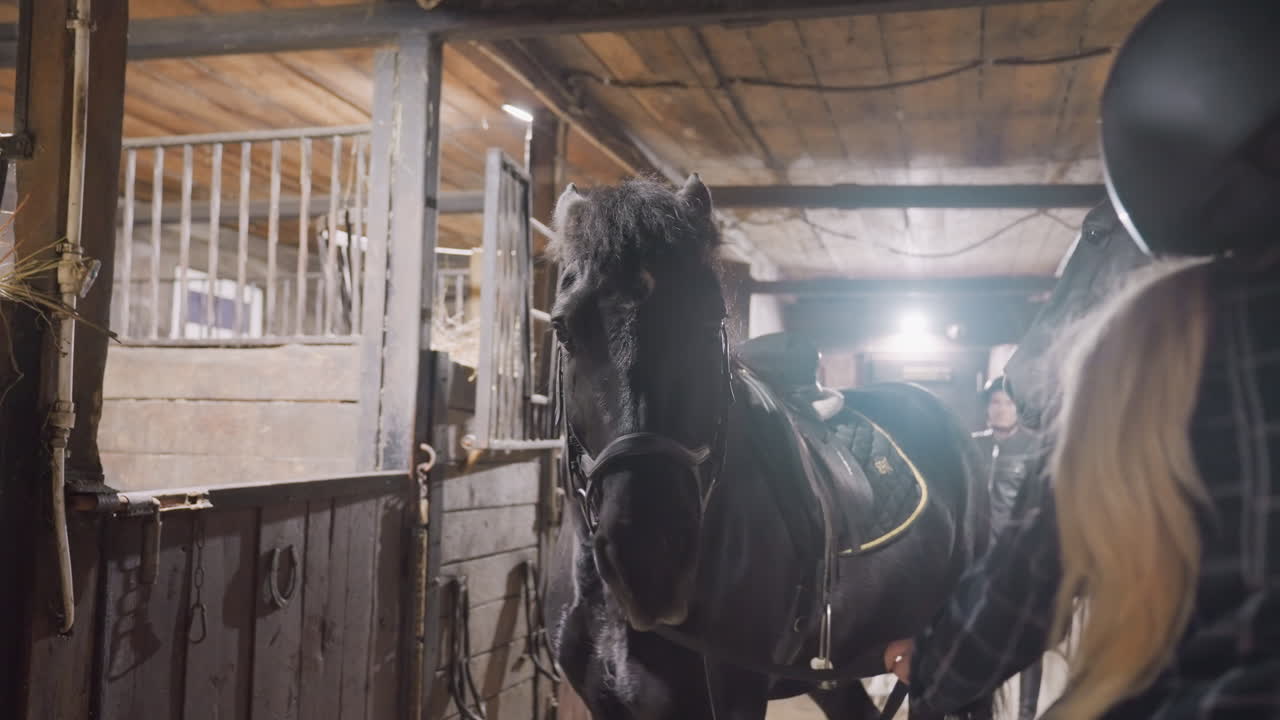 Rider brushing horse before ride gentle grooming and blanket placement in warm stable light, helmeted rider building trust, close contact with mane and muzzle, calm preparation and affectionate