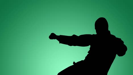 Animation-of-silhouette-of-male-martial-artist-in-action-on-green-background