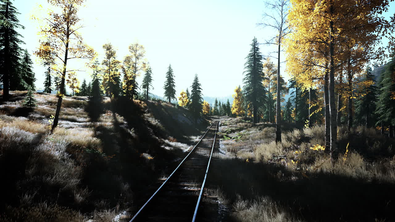 가을 숲 을 가로질러 가는 기차 트랙