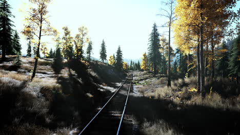 las vías del tren que conducen a través de un bosque de otoño