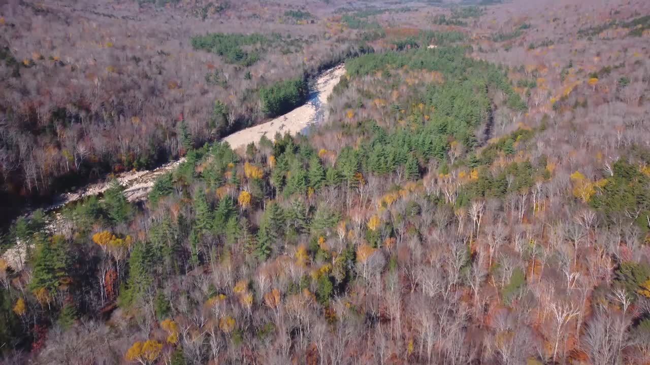 valle de las montañas blancas durante el otoño con río seco y pinos, estados unidos