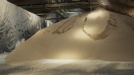 a massive pile of grains inside a warehouse