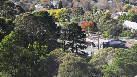 vista panorámica de la belleza natural de ballarat