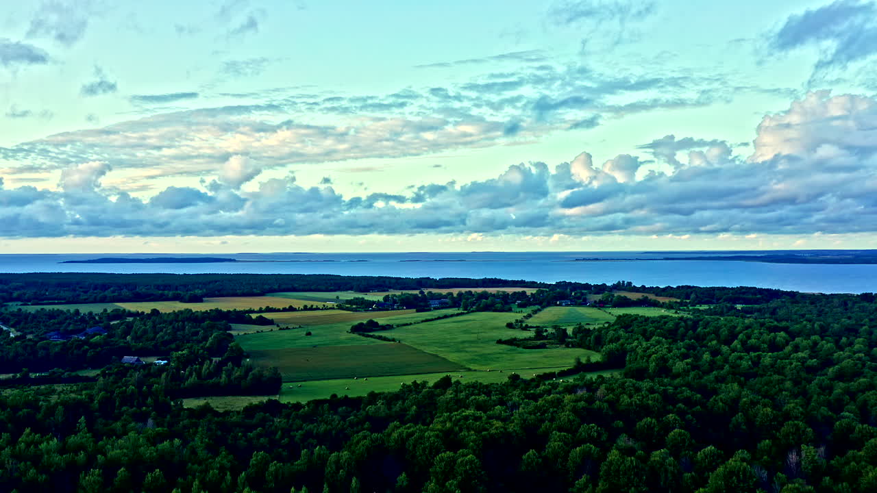 Drone flying view of forest landscape with fields and the sea in the background - Dolly shot