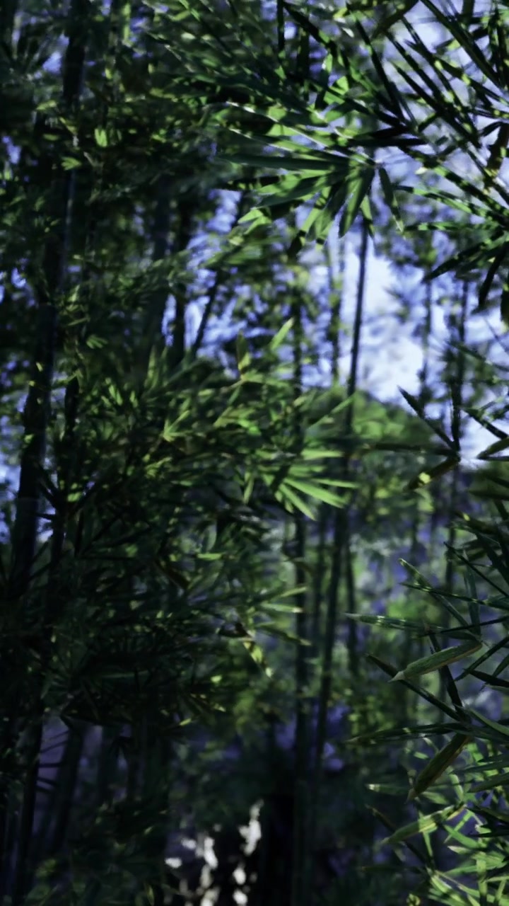 Foresta di bambù di un verde brillante con raggi di sole al mattino