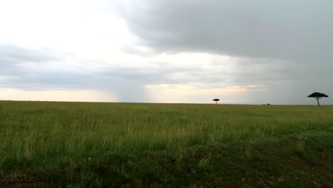 Scenic-establisher-shot-of-Maasai-Mara-National-Park-in-Kenya,-Africa