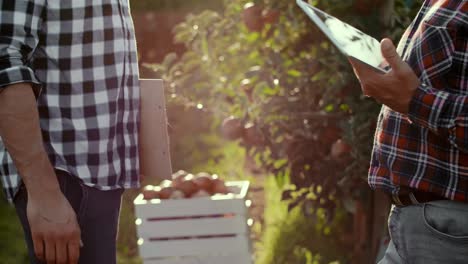 business partners shaking hands in the apple orchard