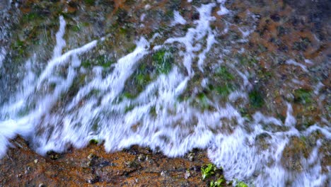 Close-up-of-foamy-and-transparent-sea-waves-washing-over-a-rocky-shore-covered-in-green-moss