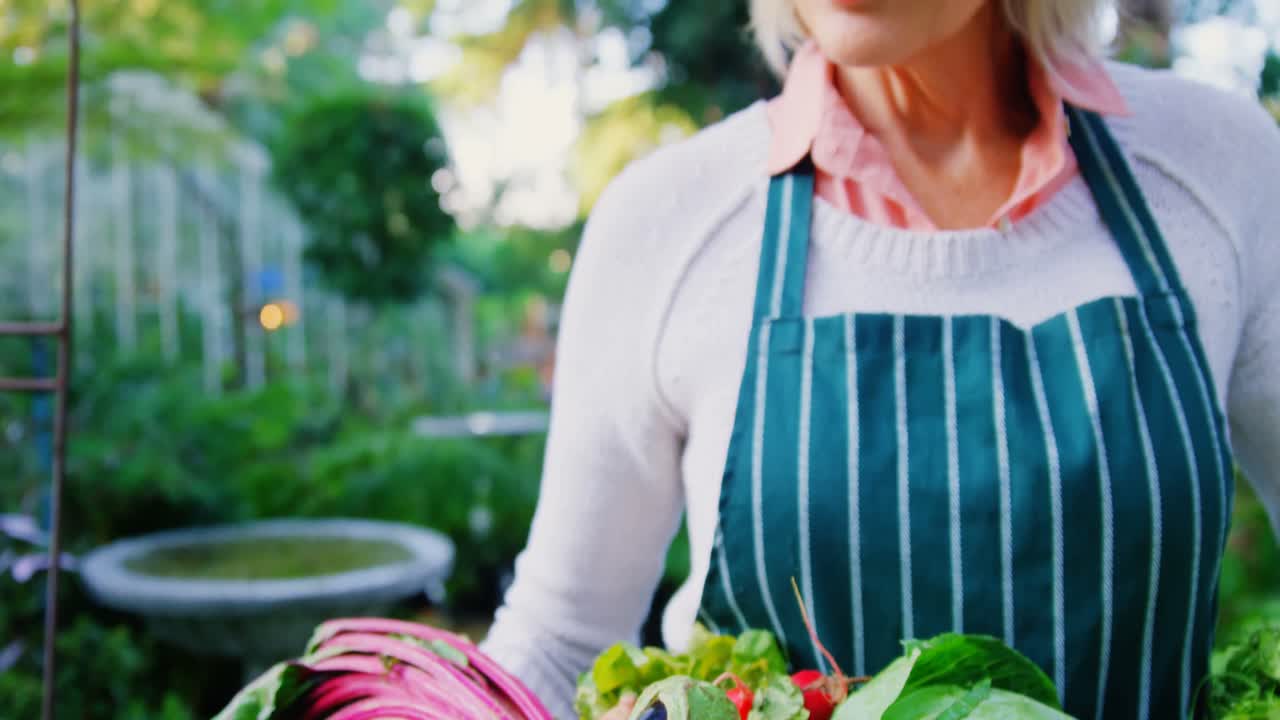채소 상자를 들고 있는 성숙한 여자