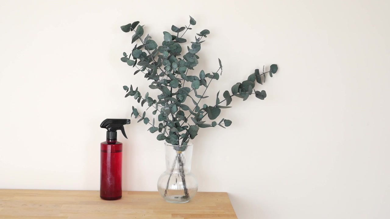 Branches d'eucalyptus dans un vase en verre avec un vaporisateur rouge sur une table en bois