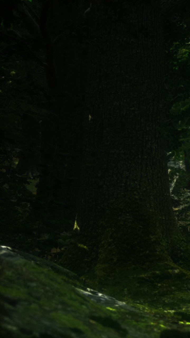 Maestosa scena forestale con una vegetazione vibrante e alberi imponenti alla luce del sole.