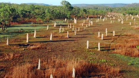 Vuelo-Sobre-Un-Vasto-Terreno-De-Montículos-De-Termitas-Magnéticas-En-El-Parque-Nacional-Litchfield,-Australia