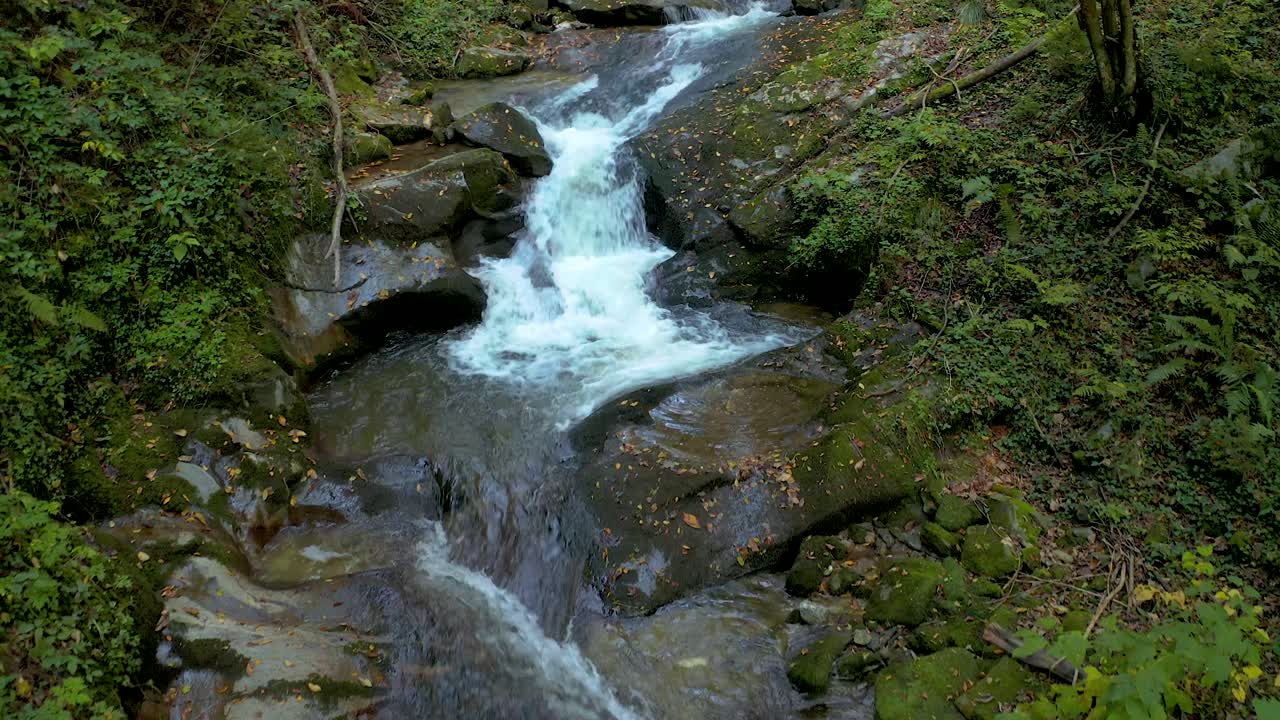 Crystalline stream running through the green forest in daylight at Bistriski Vintgar Slovenia