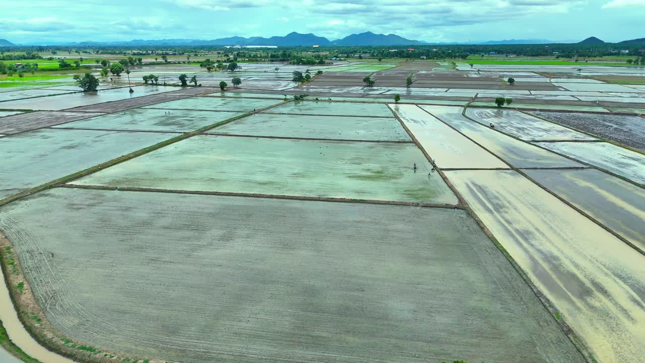 Drone footage pushing in over flooded rice fields in near Kanchanaburi,Thailand. The aerial view shows waterlogged paddies, dividing paths, scattered trees, and mountains on the horizon
