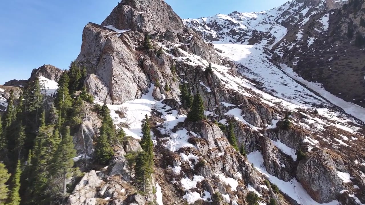 Vista dinamica da drone su un'alta cima montuosa. Terreno roccioso con neve e alberi di conifere. Kirghizistan.