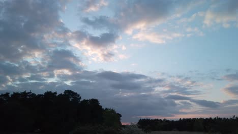lapso de tiempo de las nubes cruzando el asombroso cielo sobre la silueta del bosque al atardecer