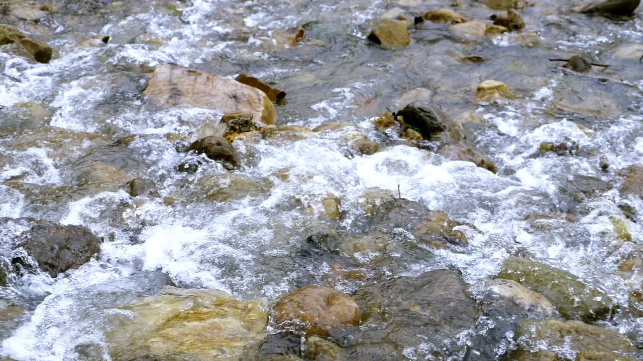 Ruscello limpido che scorre tra massi di pietra. Fiume copioso che scorre al rallentatore.