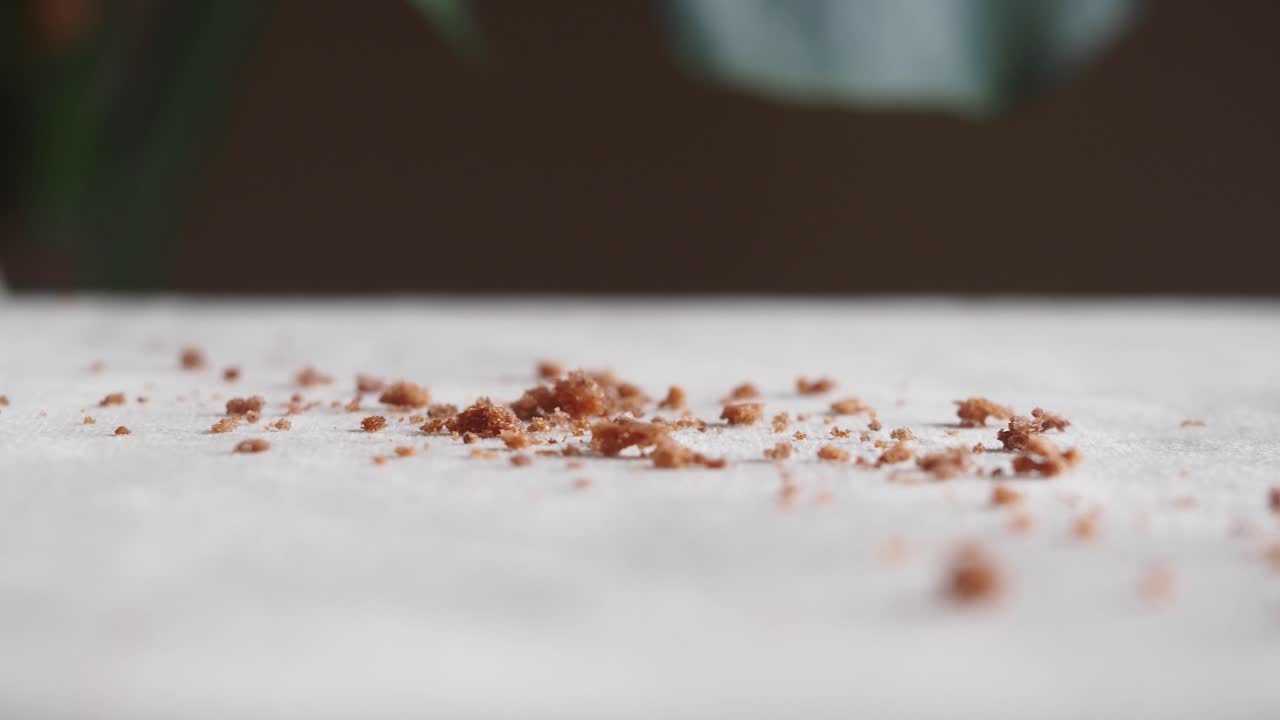 테이블 위의 어리