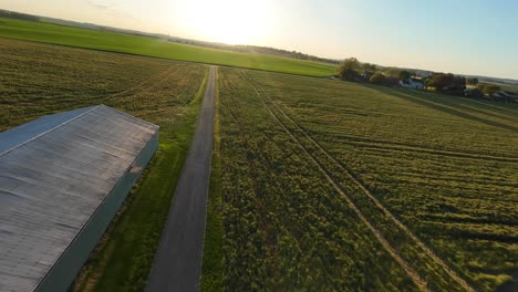 cinematic drone shot over farm fields with stable and path during golden sunset
