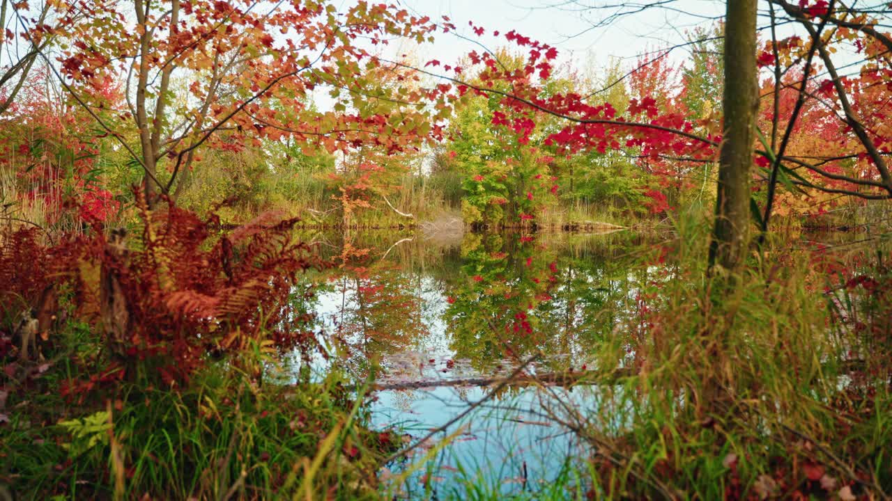 Calm autumn forest lake with colorful foliage and reflections on the water, North America, Quebec, Montreal, Canada.