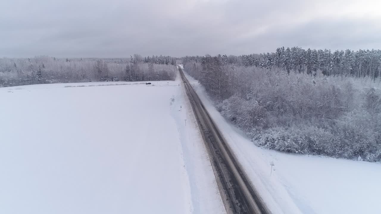 폭설이 도로와 나무를 눈으로 뒤덮었습니다.
