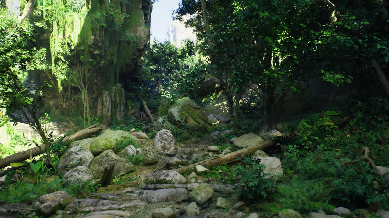 Lush Forest Path with Mossy Rocks and Trees