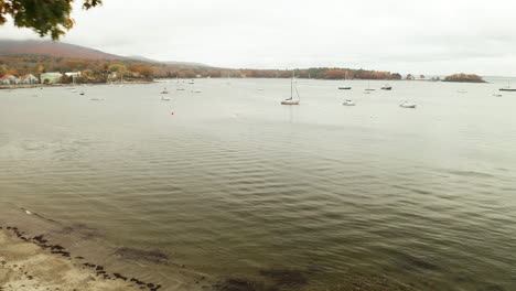 Drone-flies-close-to-a-tree-on-shore-toward-boats-mooring-in-harbor