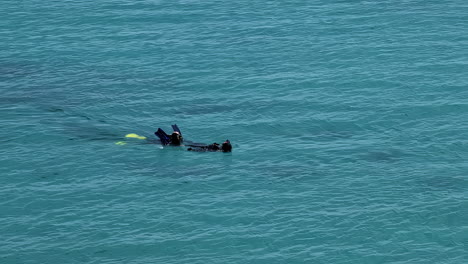 a diver snorkeling in calm, blue tropical waters, enjoying serene exploration