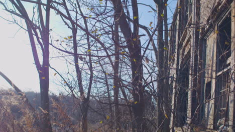 shot-of-abandoned-building-overlooking-fall-foilage