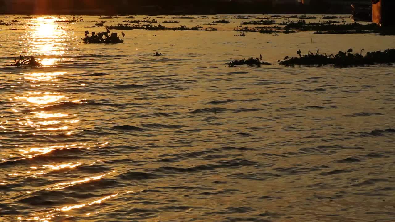 일몰 동안 빛을 반사하는 강의 파도