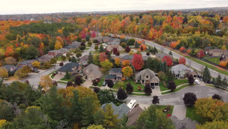 aerial view of detached houses with trees and forest in autumn colors in canada